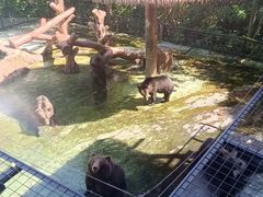 -深圳野生动物园