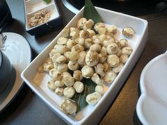 -同仁四季椰子鸡(罗湖国贸店)
