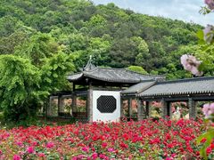 -龙寺生态园