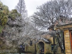 -莫干山风景区