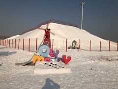 -丁香湖丁香小镇Citypark滑雪公园戏雪嘉年华