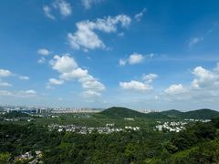 -树山生态村