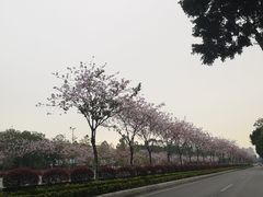 -广州市城市规划展览中心