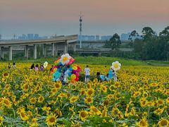 -三圣花乡旅游区