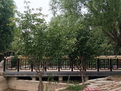 -太阳宫公园