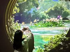 -中国湿地博物馆