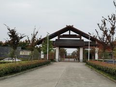-南湖湿地公园