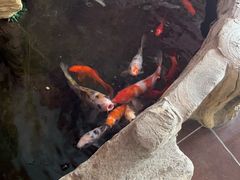 -鸥迪足道(湖南示范店)
