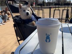 -小意思咖啡店(草桥店)