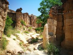 -元谋土林景区(物茂土林)