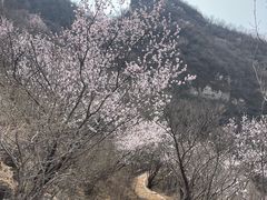 -妙峰山风景名胜区