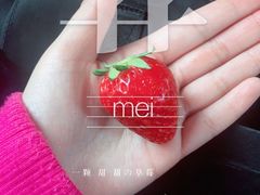 -晶宝温泉农庄