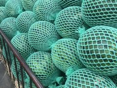 -沈阳市八家子水果批发市场