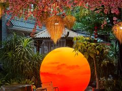 -扬之阿李菌汤火锅(1969店)