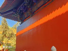 -宝通禅寺