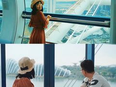 -新加坡摩天观景轮