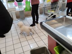 -三江购物(东裕店)