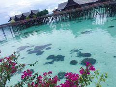 -卡帕莱度假村(西巴丹岛)