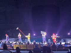 -广州长隆国际大马戏