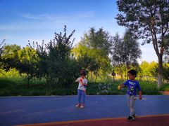 -大兴滨河森林公园