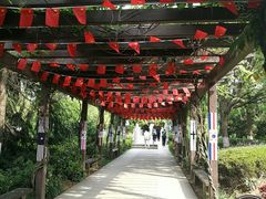 -白马涧龙池景区
