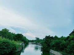 -中国湿地博物馆