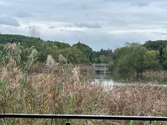 -昆山城市生态森林公园