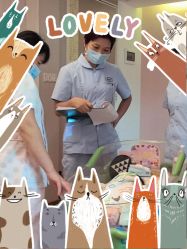 -生命加•Q考拉月子会所(玫瑰园店)