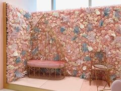 -Dazzling Cafe 蜜糖吐司专卖店