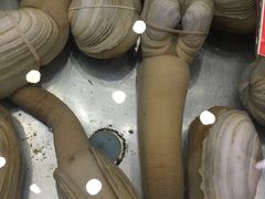 -湛江渔港·大排档(乐园路总店)