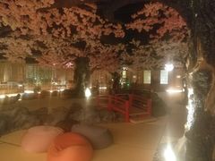 -蓝鲸湾汤泉(包河店)