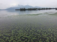 -月亮湾景区