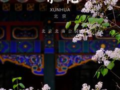 -北海公园