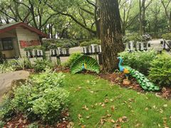 -共青国家森林公园-售票处