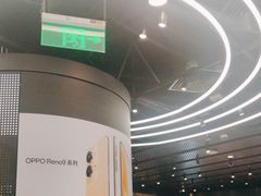 -sundanpulse顺电·脉(海岸城购物中心店)