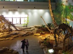 -自贡恐龙博物馆