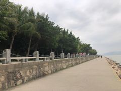 -福田红树林生态公园