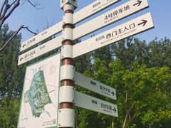 -东郊湿地公园