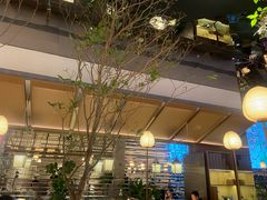 -桂满陇·海市蜃楼·黑金(国金店)