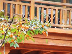 -九如山休闲旅游度假区
