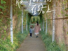 -月亮湾湿地公园