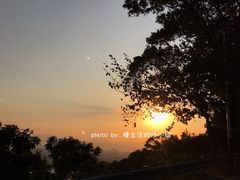景点-风云岭森林公园