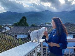 -喵屿·大理花园猫咖