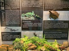 -烟台自然博物馆