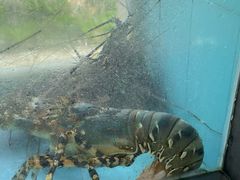 -明珠海港大酒店