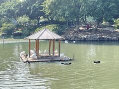 -玄武湖景区-情侣园游乐场