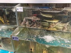 -胖姐渔村(中源大道店)
