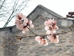 -三里河公园