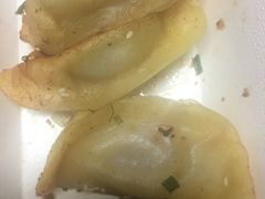 鲜肉锅贴-小姜锅贴(凤凰街店)