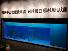-淘米捞·米汤脆鲩鱼火锅(福田皇岗店)